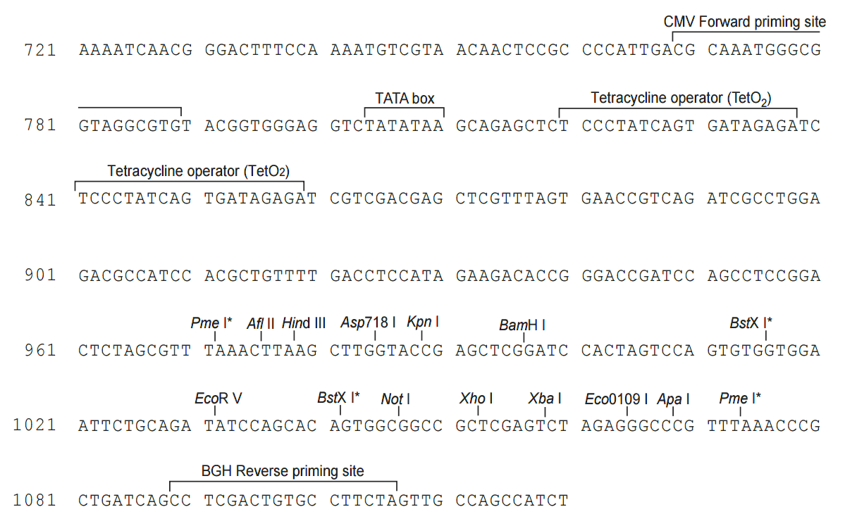 pcDNA5-TO 多克隆位点 点击看大图 pcDNA5-TO 多克隆位点